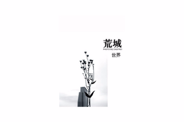 荒城世界 荒城世界