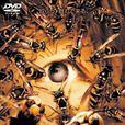 殺人蜂(日本2005年電影) 殺人蜂(日本2005年電影)