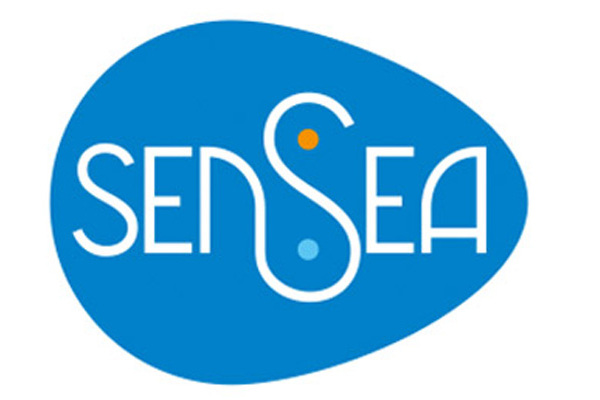 SENSEA SENSEA
