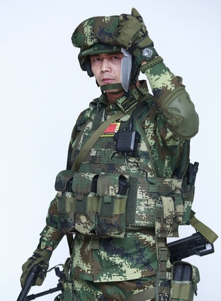 李飛(中國內地男演員) 李飛(中國內地男演員)