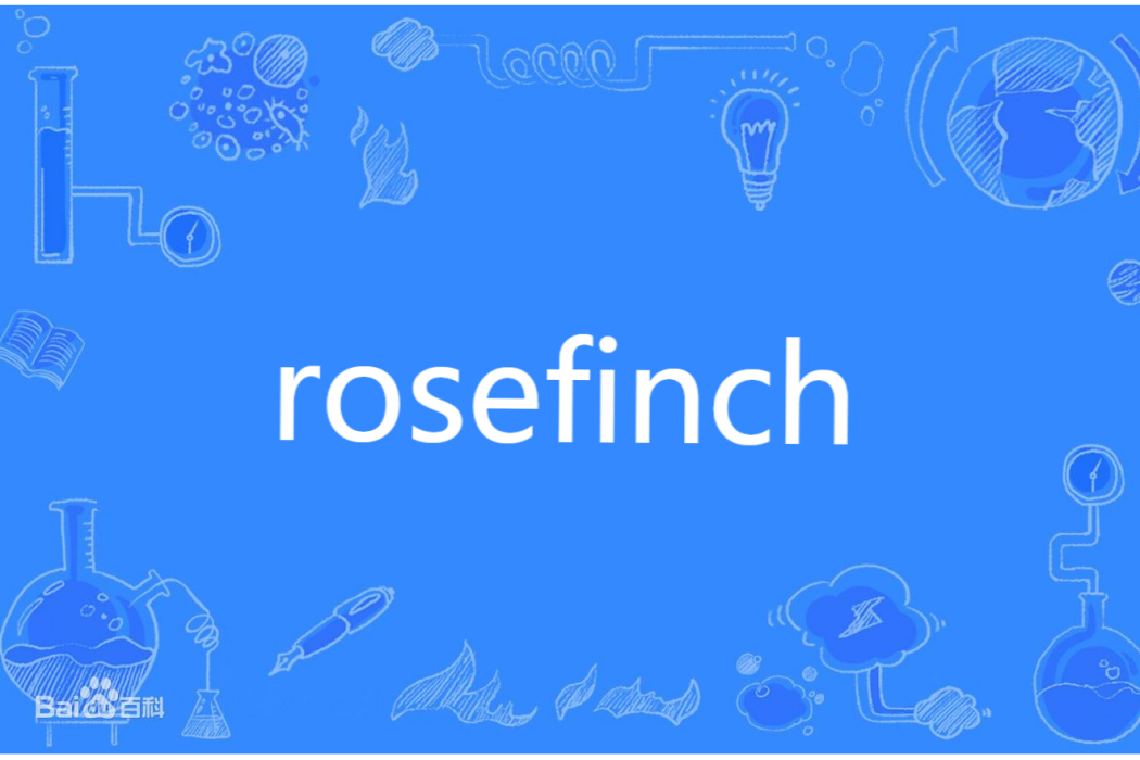 rosefinch(英文單詞) rosefinch(英文單詞)