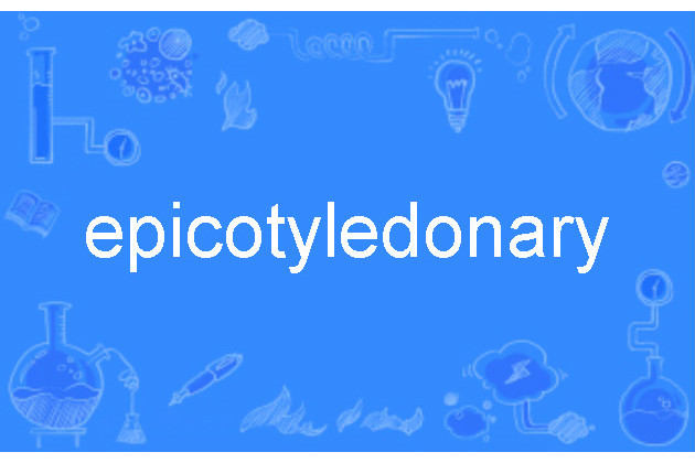 epicotyledonary epicotyledonary