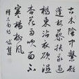 釋志南 釋志南