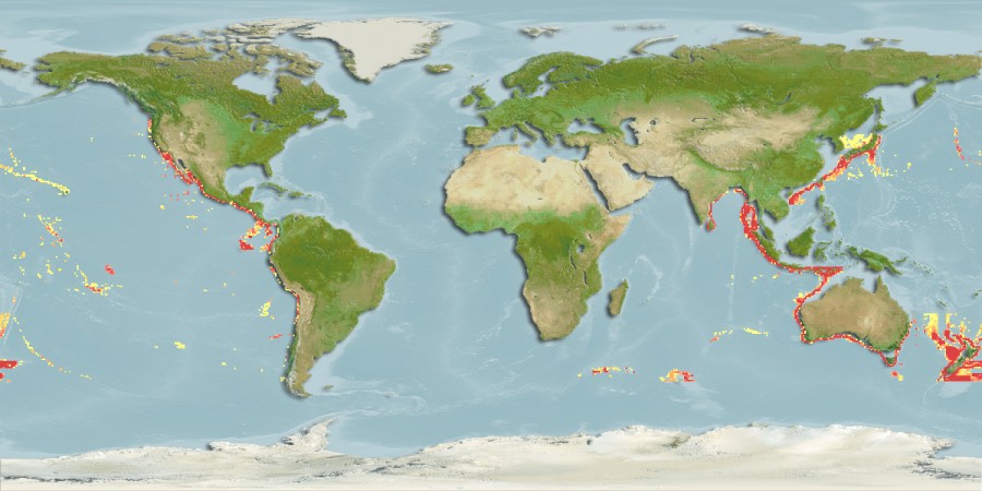 太平洋長吻銀鮫（分布圖）