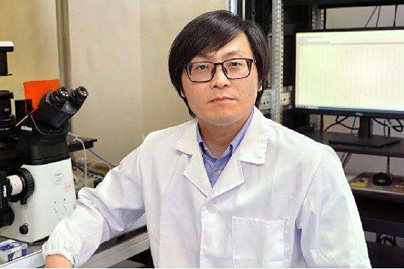 葉文秀(北京大學現代農業研究院研究員)