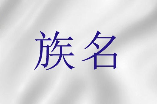 族名 族名