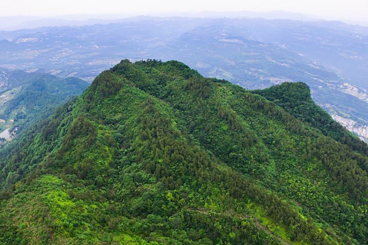 龍亭山 龍亭山