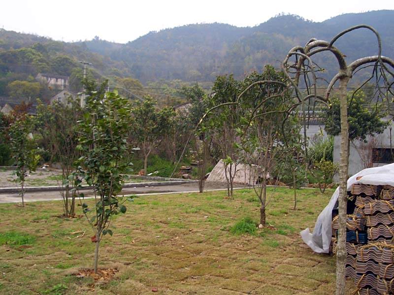 花明村 花明村