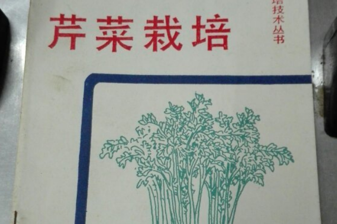 芹菜栽培 芹菜栽培