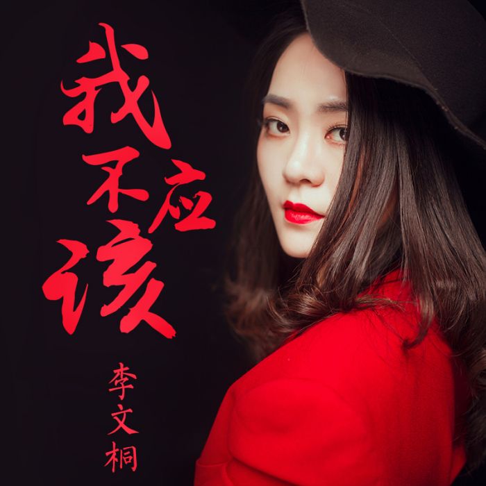 我不應該 我不應該