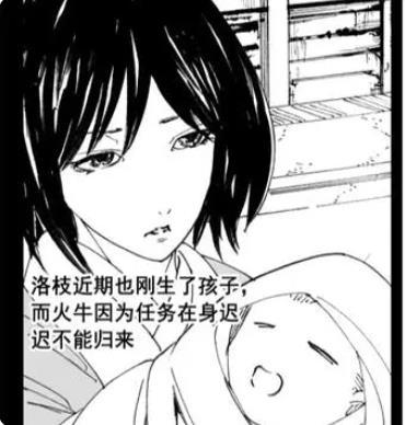 洛枝 洛枝