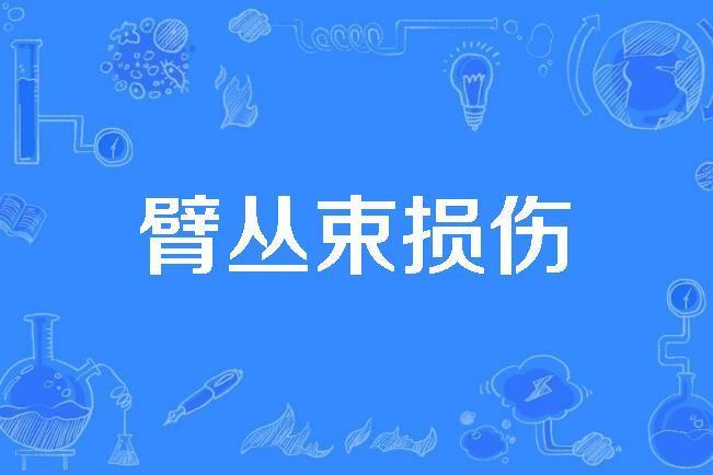 臂叢束損傷 臂叢束損傷