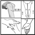 四總穴歌 四總穴歌