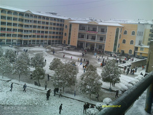 2010年第一場雪---校景