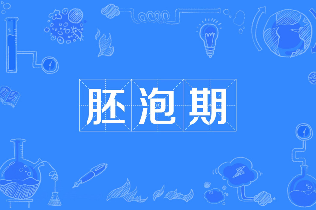 胚泡期