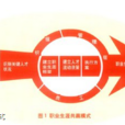 職業模式 職業模式