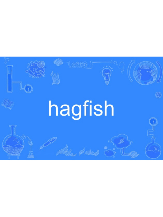 hagfish
