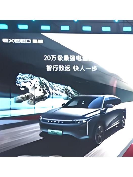 瑤光C-DM 瑤光C-DM