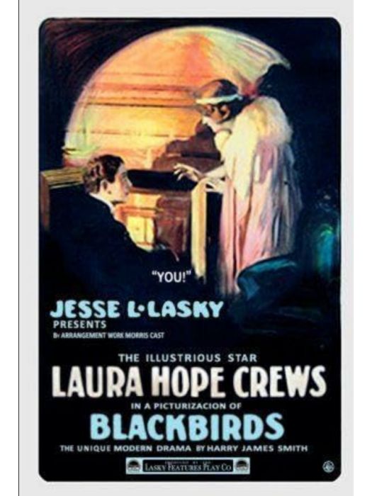 Blackbirds(美國1915年J.P. McGowan執導的電影) Blackbirds(美國1915年J.P. McGowan執導的電影)