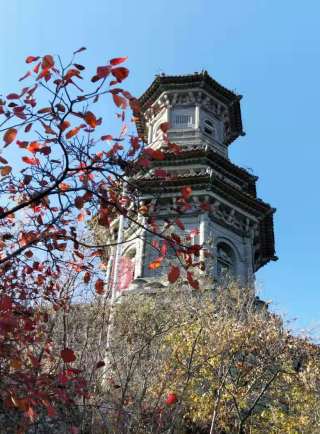 鄭田野 鄭田野