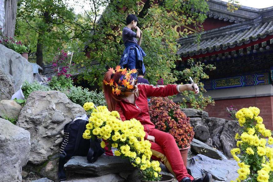 旅遊亂象 旅遊亂象