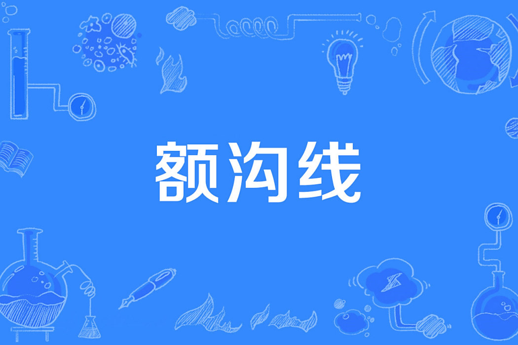 額溝線 額溝線