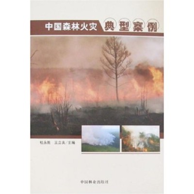 中國森林火災典型案例