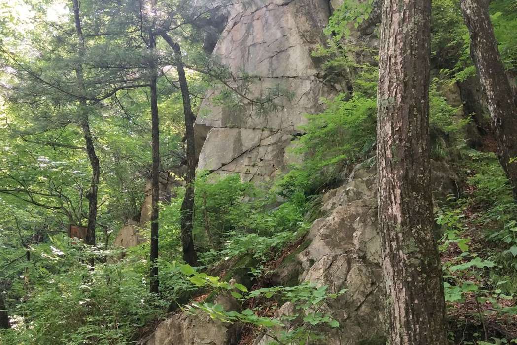 南樓山(吉林省長白山脈哈達嶺下的山脈) 南樓山(吉林省長白山脈哈達嶺下的山脈)