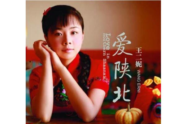 走西口(王二妮《愛陝北》專輯中的歌曲) 走西口(王二妮《愛陝北》專輯中的歌曲)