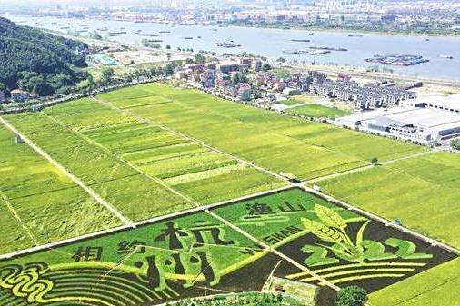 漁山村(浙江省杭州市富陽區漁山鄉下轄行政村) 漁山村(浙江省杭州市富陽區漁山鄉下轄行政村)