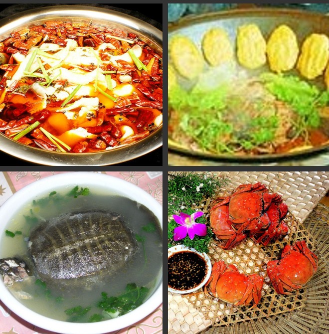 麻辣魚；地鍋魚；甲魚湯；螃蟹