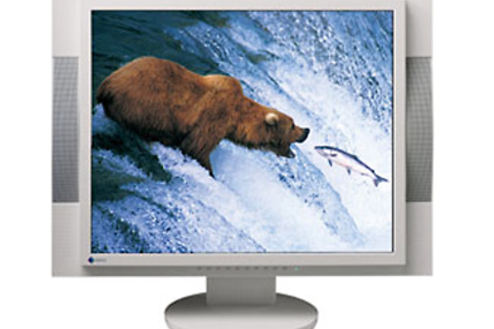 Eizo FlexScan M1950 Eizo FlexScan M1950
