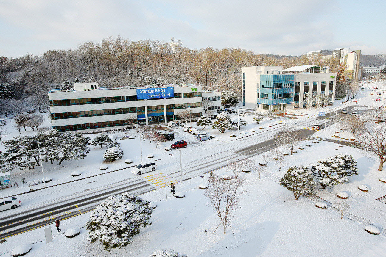 韓國科學技術院(KAIST（一所韓國高校）)