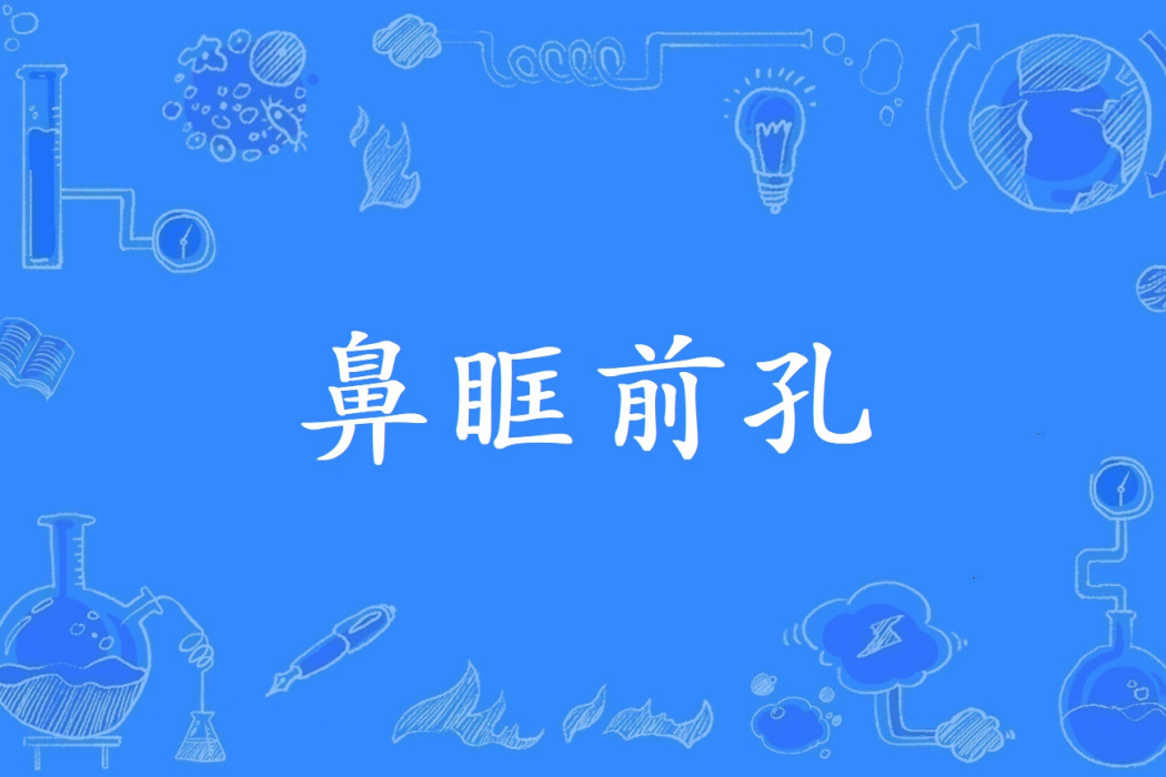 鼻眶前孔 鼻眶前孔