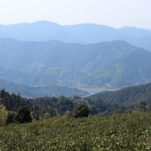 栲栳古道 栲栳古道