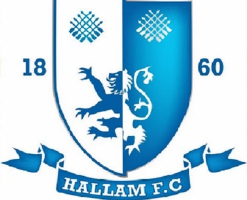 哈勒姆FC足球俱樂部