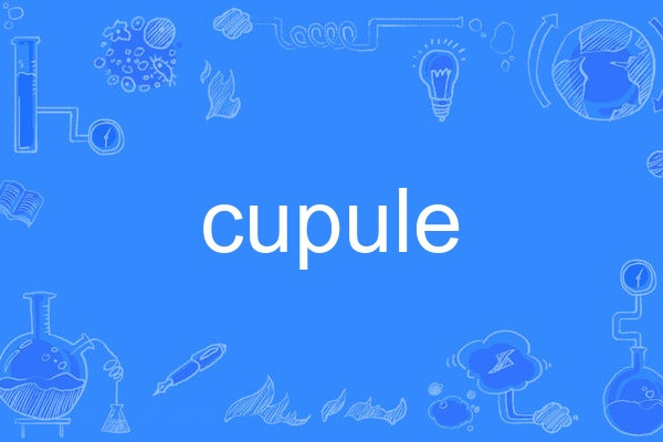 cupule cupule