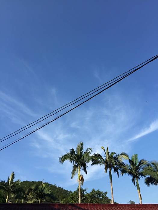 梧瑞國小 梧瑞國小
