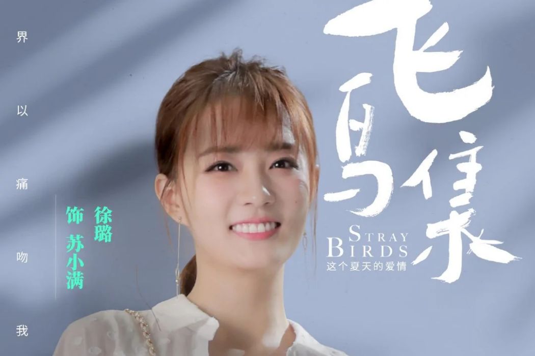 蘇小滿(電視劇《飛鳥集》中的角色) 蘇小滿(電視劇《飛鳥集》中的角色)