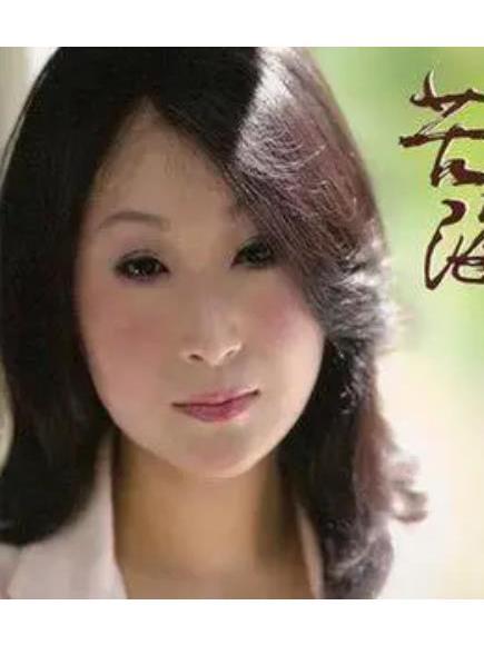 醉相思(王瑞霞《苦海》專輯中的歌曲) 醉相思(王瑞霞《苦海》專輯中的歌曲)