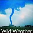Wild Weather(Blakes著圖書)