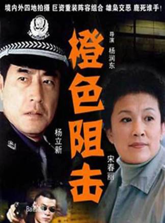 劉孜(中國內地女演員、設計師)