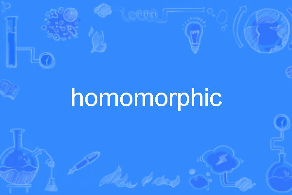 homomorphic homomorphic
