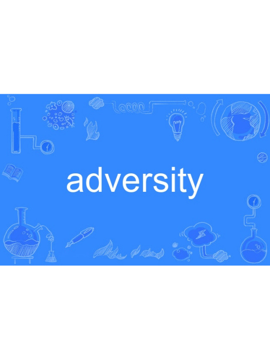 Adversity Adversity