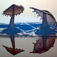水性 水性