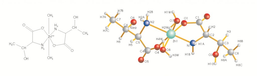 蘇氨酸鋅分子結構圖