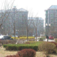中澤園 中澤園