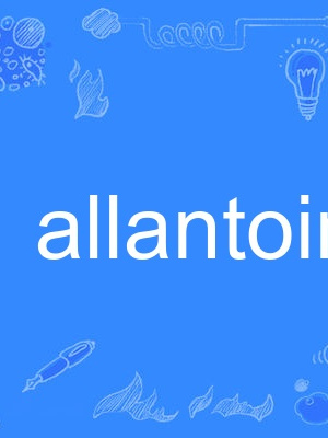 allantoin allantoin