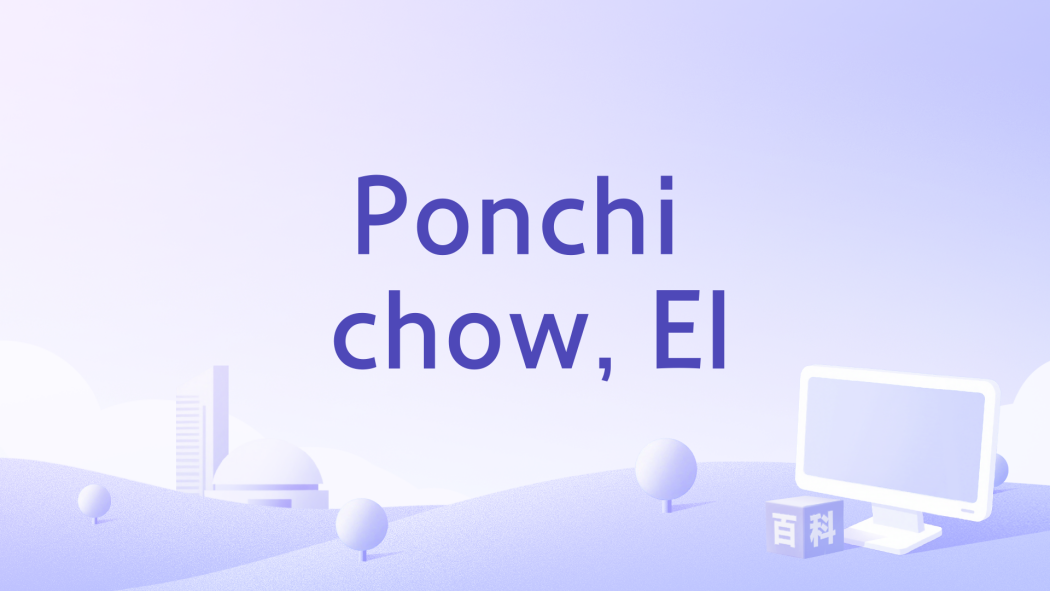 Ponchi chow, El Ponchi chow, El