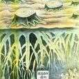 白士林(漫畫家) 白士林(漫畫家)